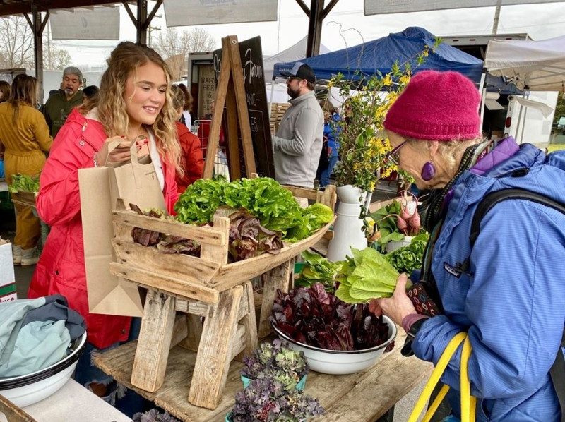 Franklin Farmers Market Will Open as Planned Williamson Source