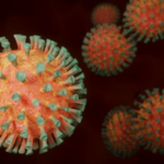 coronavirus