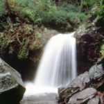 grotto falls, nps.gov