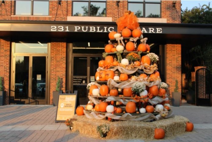 paint the town orange pumpkin tree