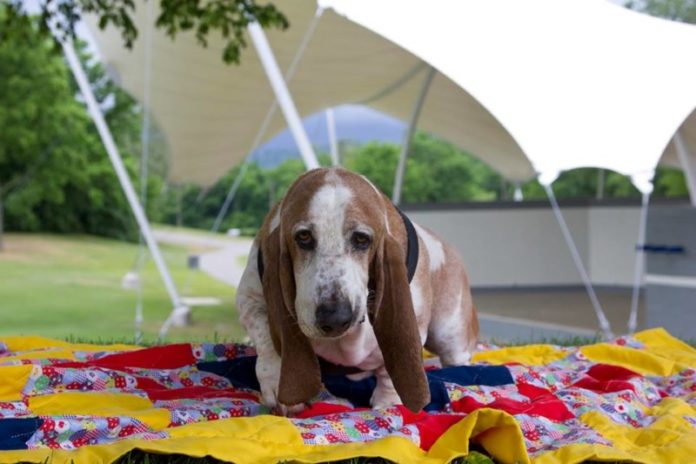 Brentwood Dedicates Dog Park in Memory of Resident