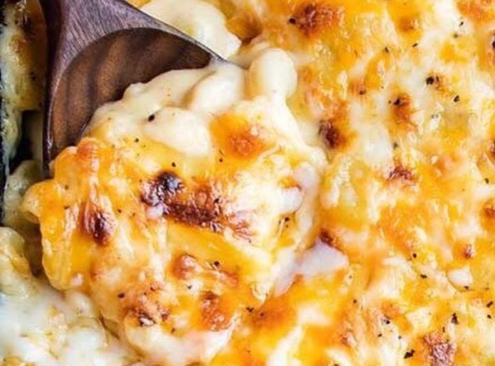 daily dish macaroni and cheese