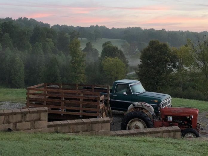 Pinewood Christmas Tree Farm