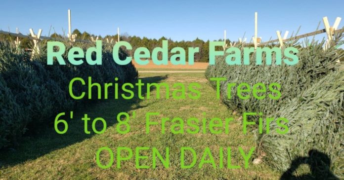 red cedar farms