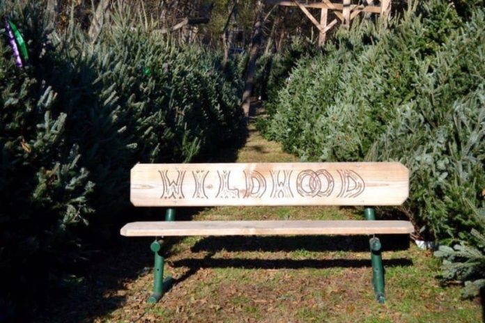 Wildwood Christmas Tree Farm