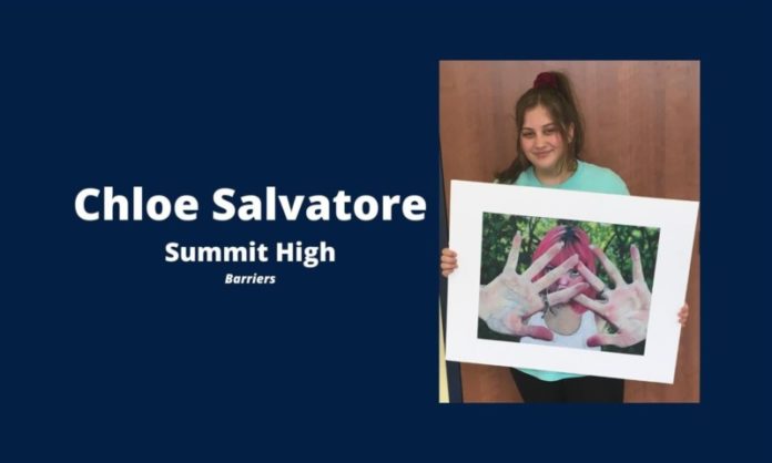 SHS American Vision Nominee SHS American Vision Nominee