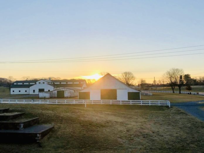 Harlinsdale Farm