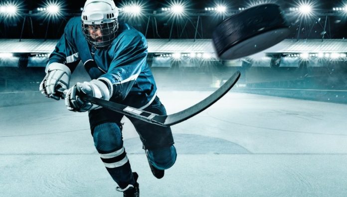 Hockey player in the mask on stadium.