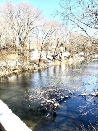 snow day photo from Nan George