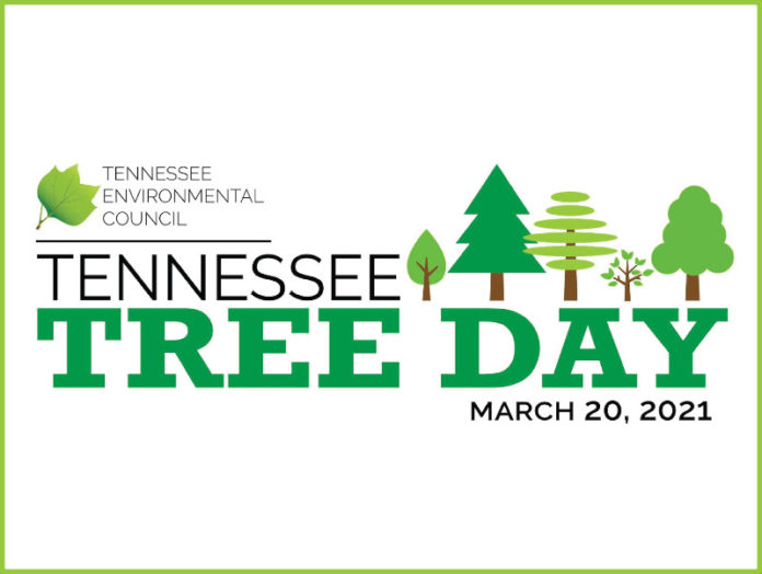 City of Spring Hill to Host Community Tree Giveaway Williamson Source