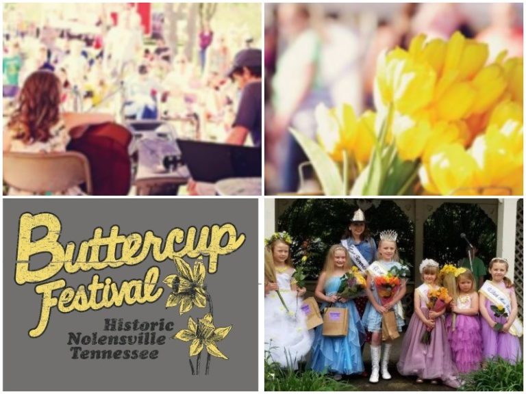 Nolensville's Buttercup Festival Returns This Spring Williamson Source