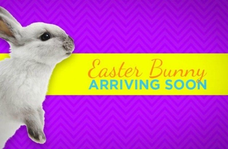 easter bunny arriving soon coolsprings galleria