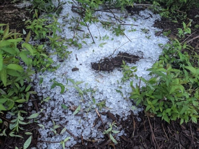 hail from march 25 storm