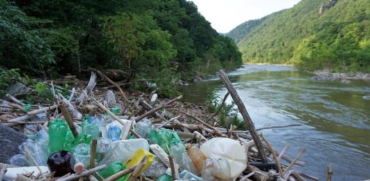 litter from tennessee wildlife federation facebook