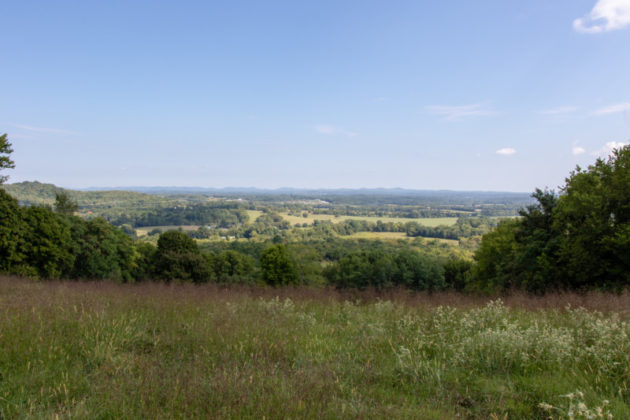 Peacock Hill