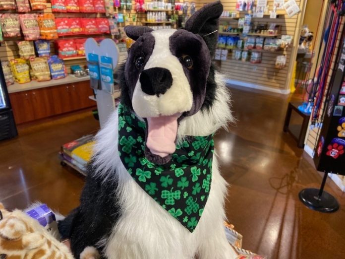 three dog bakery st patrick's day bandana