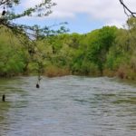 harpeth river Photo from Friends of Harpeth River State Park Facebook