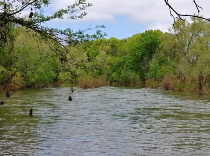 harpeth river Photo from Friends of Harpeth River State Park Facebook