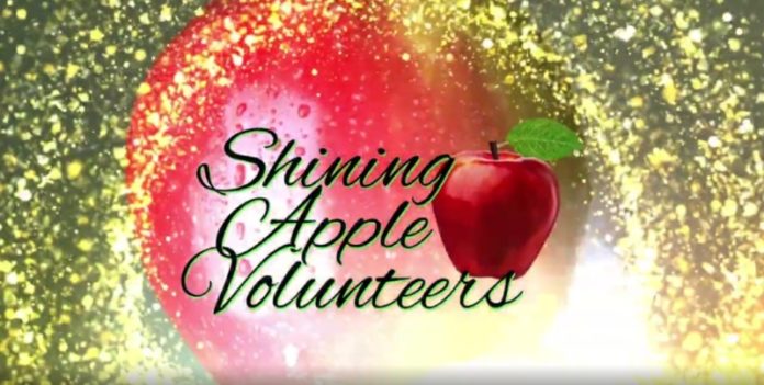 shining apple awards 2020-2021