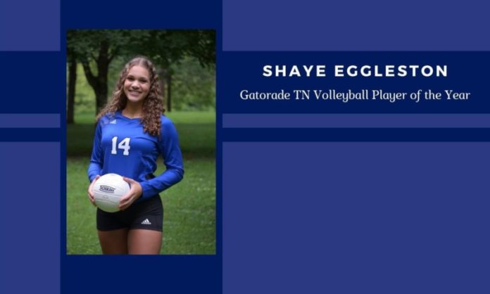 Brentwood High Athlete Wins Gatorade State Player of the Year