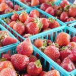 strawberries at spring hill farmers market