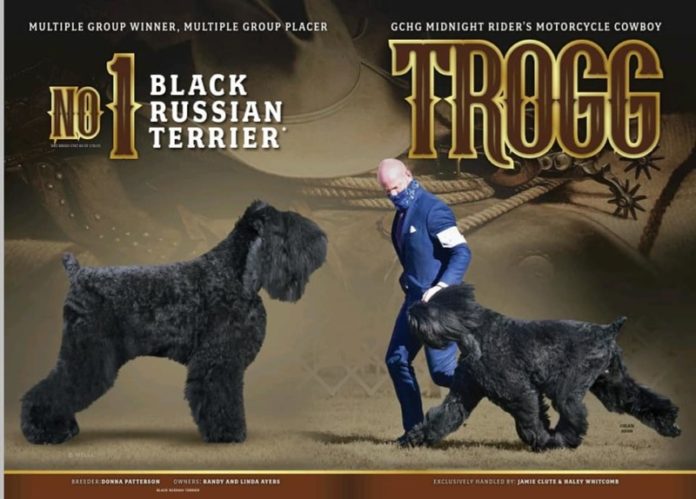 Trogg- Showsight Magazine 2021