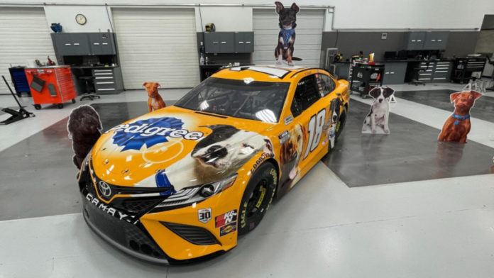Nascar
