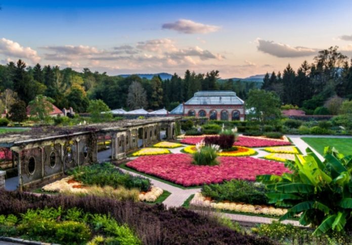 biltmore gardens ashville north carolina