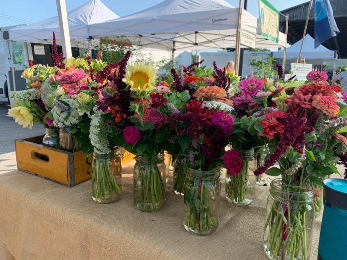 franklin farmers saturday market photo by Amanda Moore