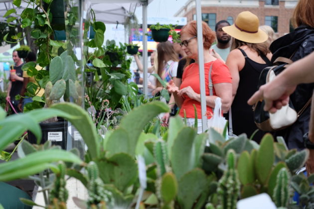 Main Street Festival 2021