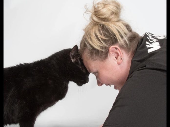 williamson county animal center
