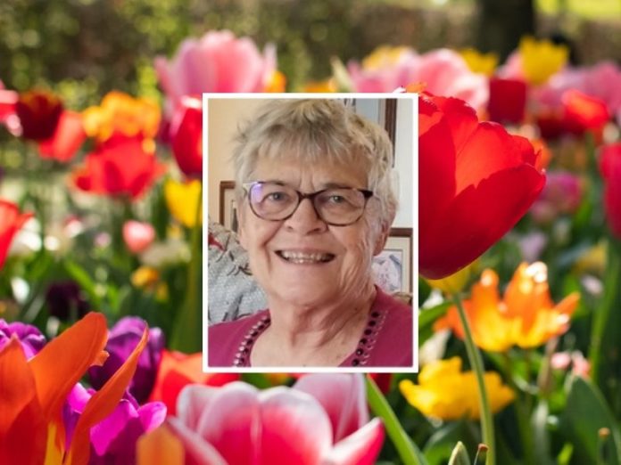 Obituary for Joyce Anne Shelton
