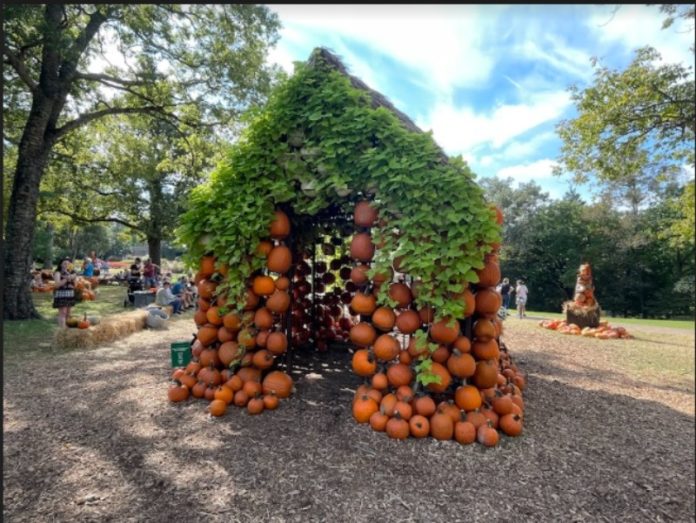 cheekwood by donna vissman