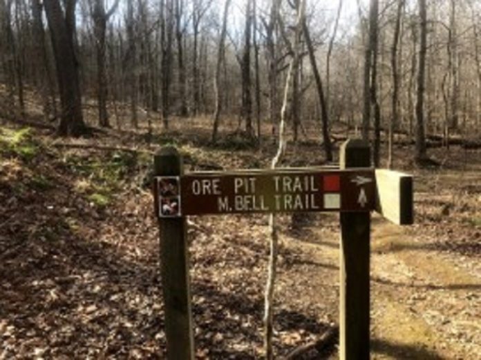 First Hike