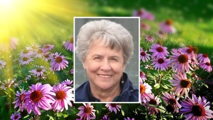 Obituary for Carolyn Pewitt Wilkins