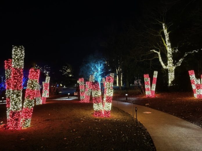 Cheekwood Holiday Lights