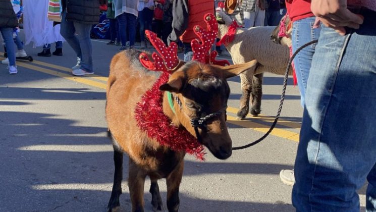 Leipers Fork Christmas Parade 2021