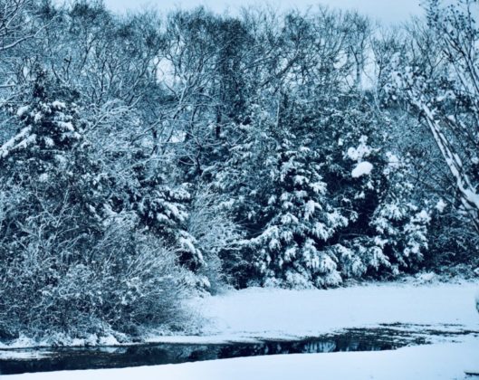 snow day jan. 3, 2022