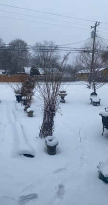 Snow Day Jan 6, 2022