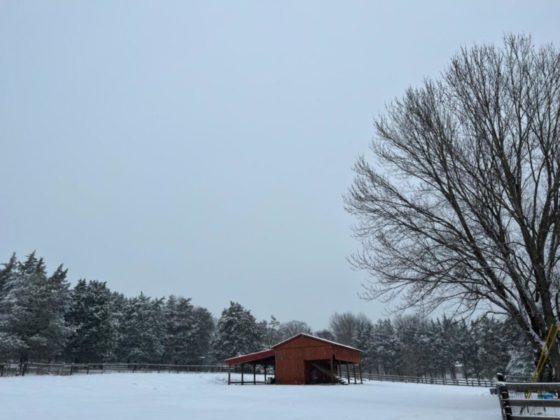 snow day jan 7, 2022