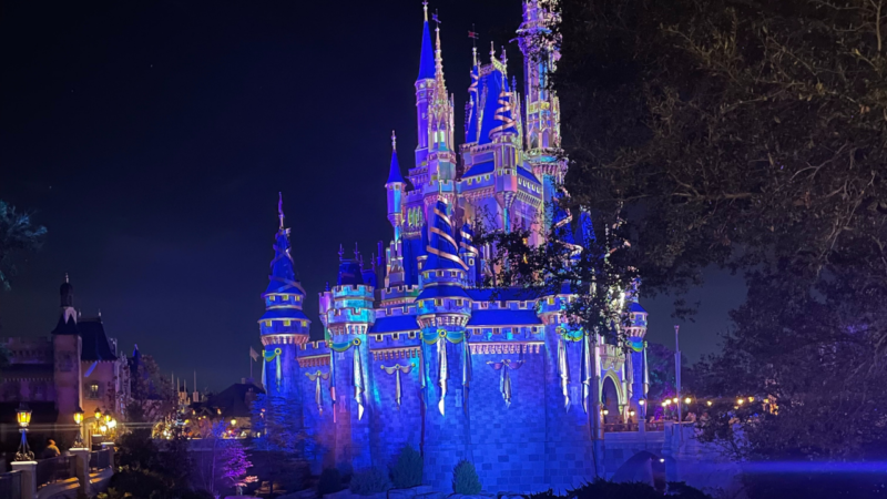 Disney World Celebrates Its 50th Season - Williamson Source