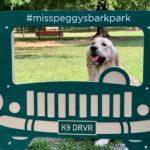 miss-peggys-bark-park