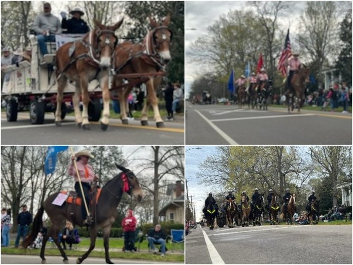 2022 Mule Day Columbia TN