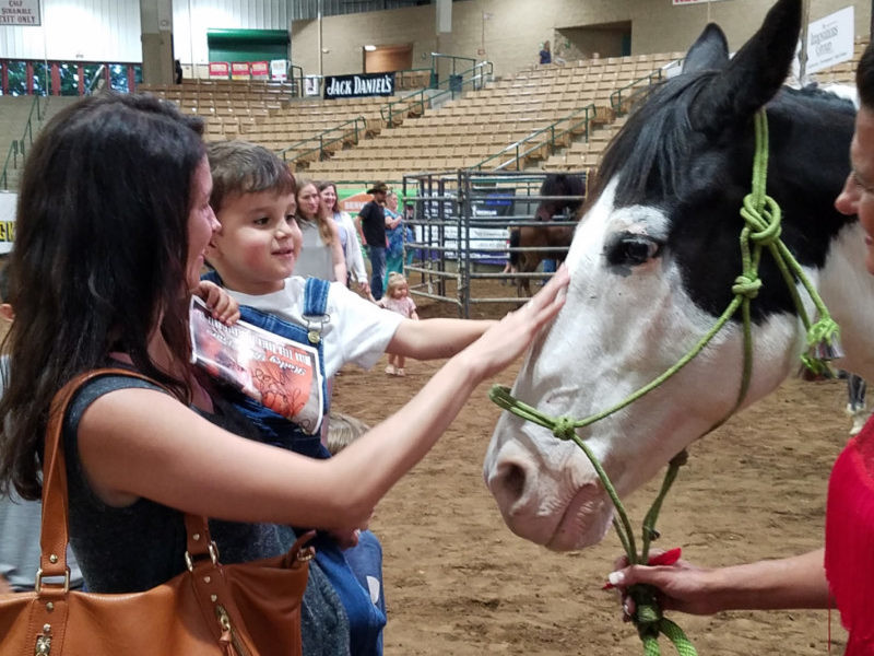 Franklin Rodeo to Feature Plenty of Fun for the Entire Family