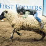 mutton bustin