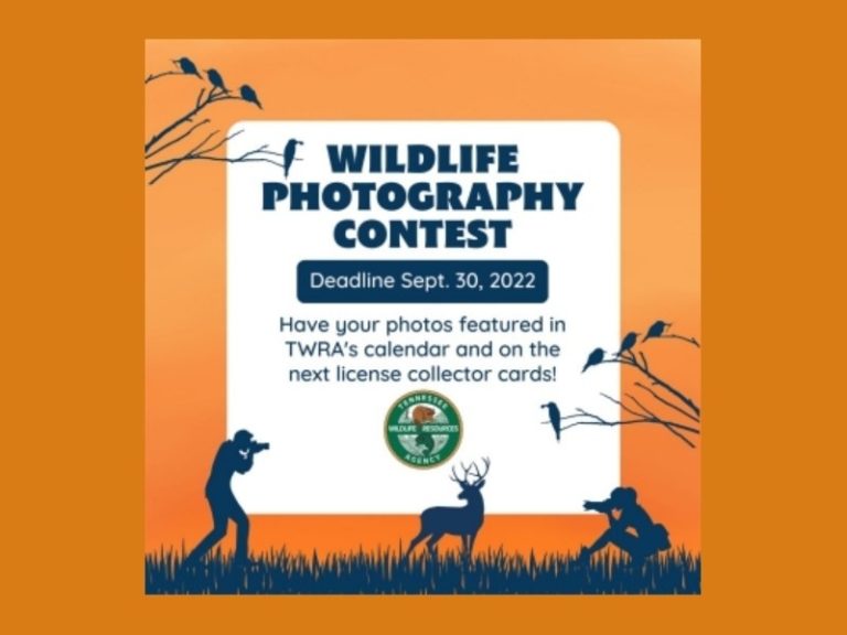 Tennessee Wildlife Resources Now Accepting Entries for 2023 Tennessee