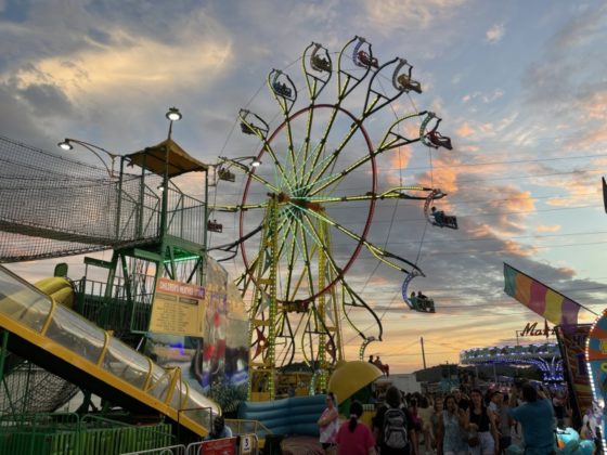 Williamson County Fair