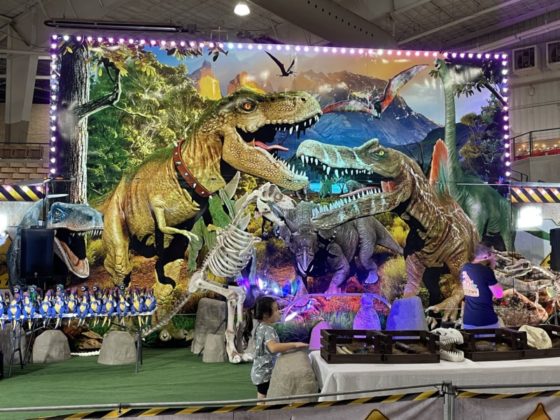 Williamson County Fair