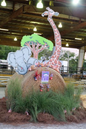 Williamson County Fair