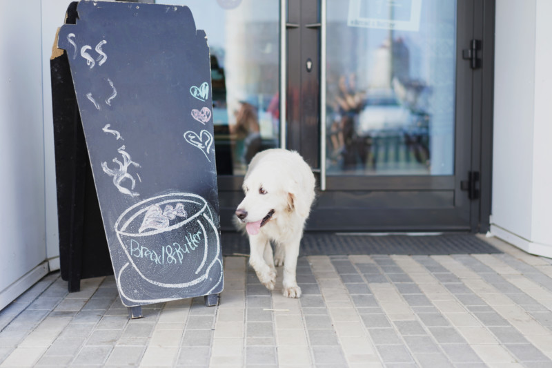 Three-Dog-Bakery